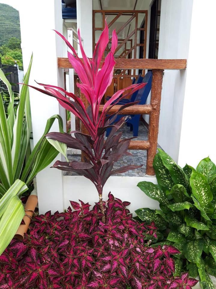 Bella Vita Guest House كورون المظهر الخارجي الصورة